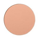 Shiseido Tanning Compact Foundation SPF10 Ricarica Bronze