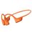 Shokz OpenRun Pro 2 (S820)