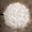 Slamp Veli Ceiling/Wall Medium Foliage Plafoniera Large