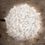 Slamp Veli Ceiling/Wall Medium Foliage Plafoniera