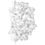 Slamp Veli Ceiling/Wall Medium Foliage Plafoniera