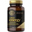 Solgar Cellular Energy Sistema Immunitario Capsule 14 capsule