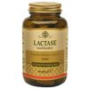Solgar Lactase 30tavolette