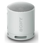 Sony SRS-XB100 Grigio