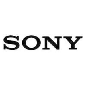 Sony VGP-BPS21A
