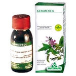 Specchiasol Gemmosol 36 Ribes Nero