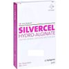 Systagenix Silvercel Hydro Alginate 5x5cm 10 pezzi