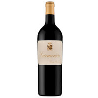 Tenuta San Leonardo Vigneti delle Dolomiti IGT Carmenère