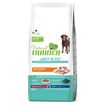 Trainer Natural Light In Fat Adult Medium&Maxi Cane (Tacchino) - secco 12Kg