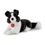 Trudi Border Collie Scott