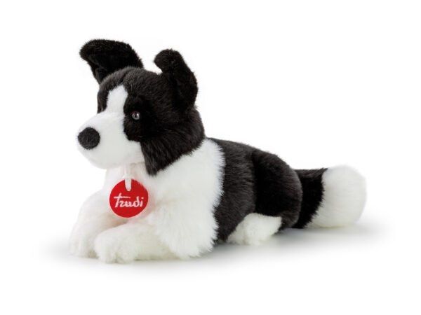 Trudi Border Collie Scott S