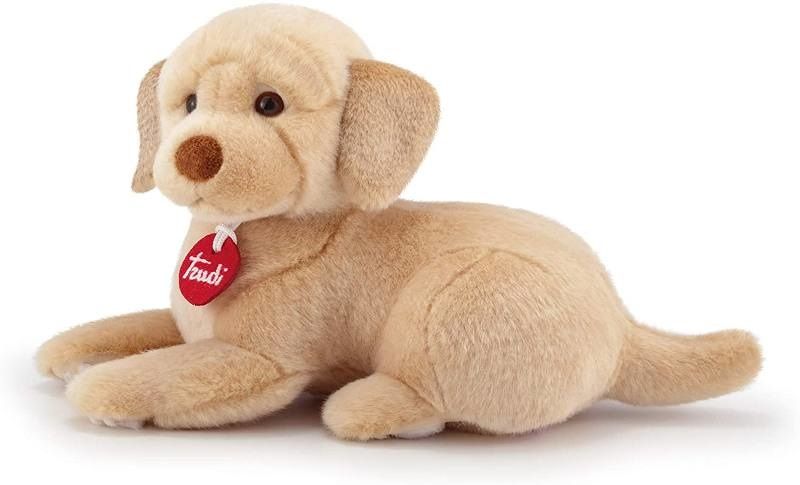 Trudi Labrador Liam S