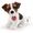 Trudi Russel Jack S