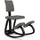 Varier Variable Plus