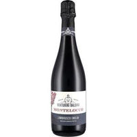 Venturini Lambrusco Montelocco Emilia IGT