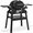 Weber Babecue Q1200N Con supporto