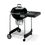 Weber Performer GBS