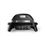 Weber Pulse 2000
