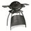 Weber Q1200 Stand