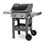 Weber Spirit II E-220 GBS