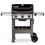 Weber Spirit II E-310 GBS