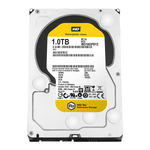 Western Digital RE WD1003FBYZ - 1 TB