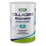 Why Nature Collagene Rigenera 330g Neutro