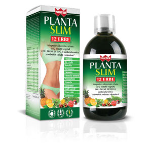Winter Planta Slim
