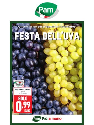 Festa dell'uva