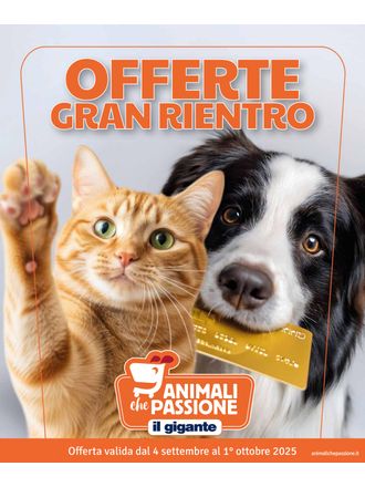 Offerte gran rientro