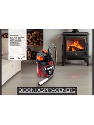 Bidoni aspiracenere