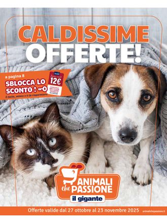 Caldissime offerte!